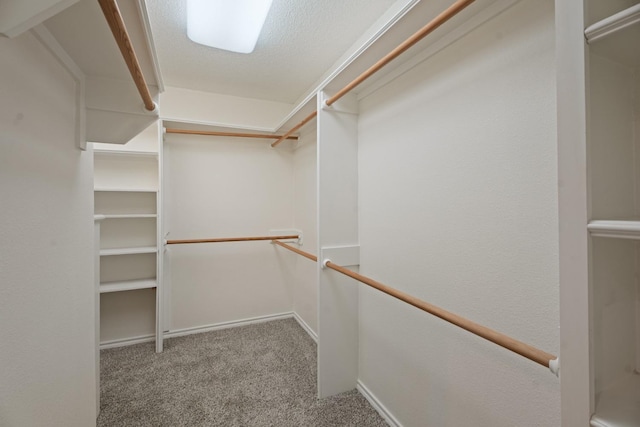 walk in closet featuring carpet