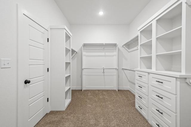 spacious closet with carpet