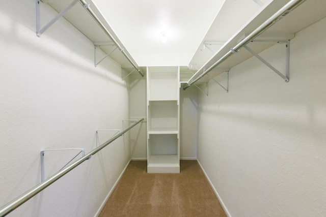 spacious closet with carpet flooring