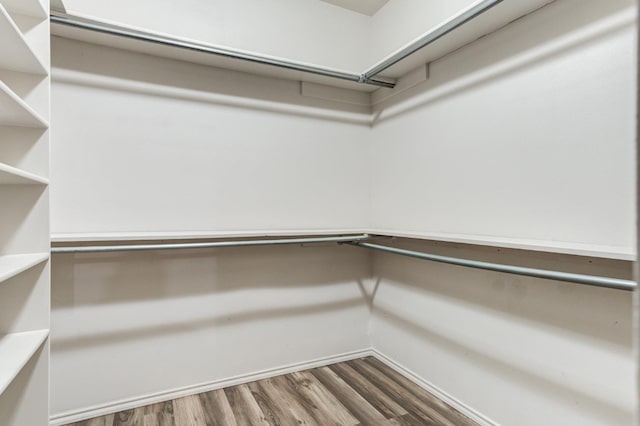 walk in closet featuring wood-type flooring