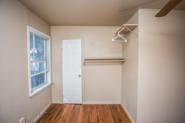 spacious closet with dark hardwood / wood-style flooring