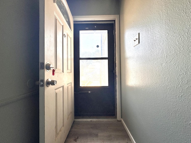 doorway featuring wood-type flooring