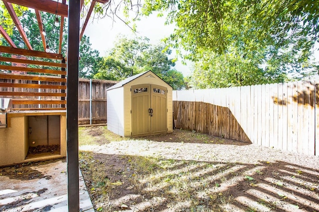 view of yard with a storage shed