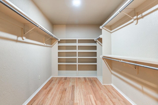 spacious closet with wood-type flooring