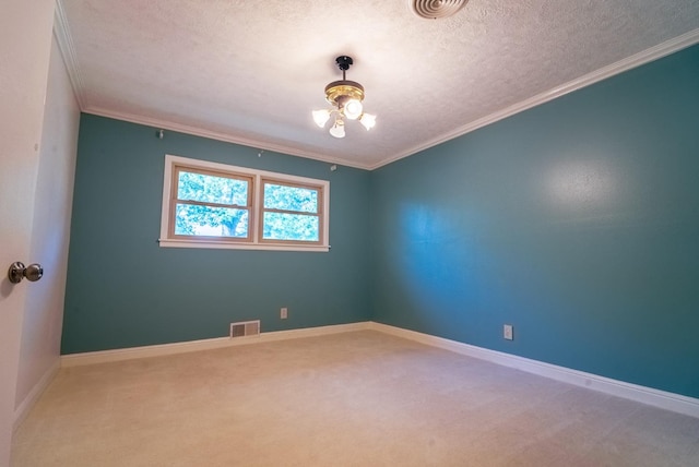 spare room featuring crown molding, carpet, and a textured ceiling