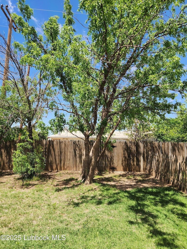 5520 36th St, Lubbock, TX 79407 - view of yard