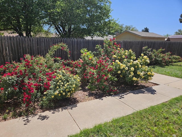 view of yard with fence