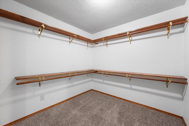 spacious closet with carpet