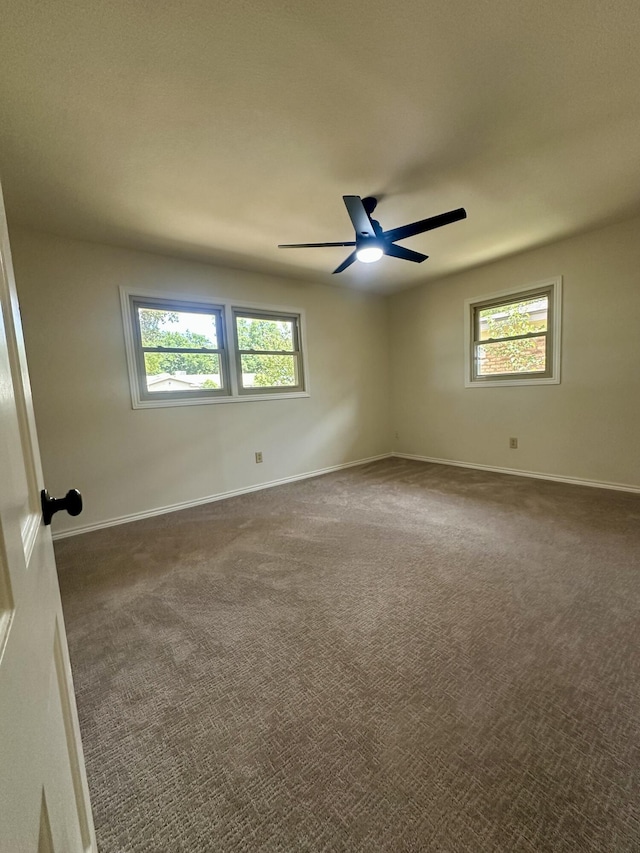 6002 Norfolk Ave, Lubbock, TX 79413 - photo 25