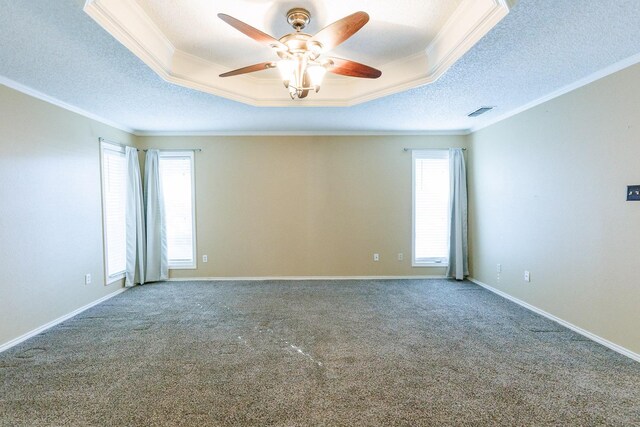 spare room with a raised ceiling, crown molding, a wealth of natural light, and a textured ceiling