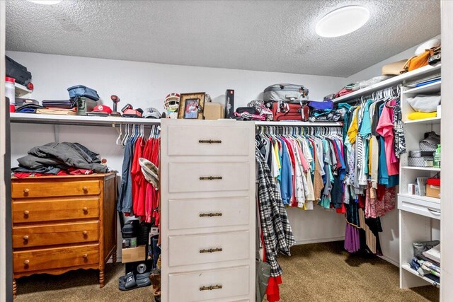 2917 Dove Ln, Denver City, TX 79323 - walk in closet featuring carpet flooring