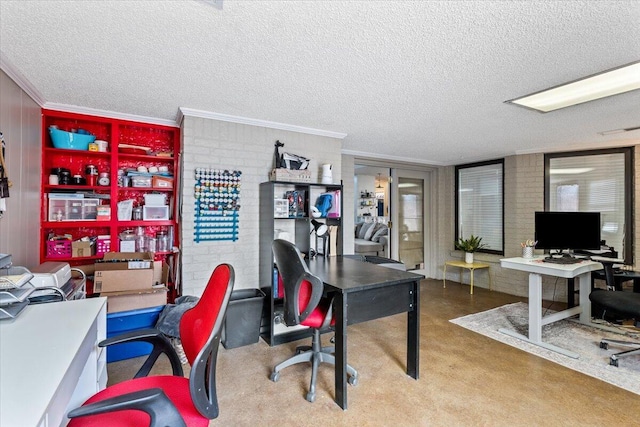 2917 Dove Ln, Denver City, TX 79323 - carpeted home office with a textured ceiling and crown molding
