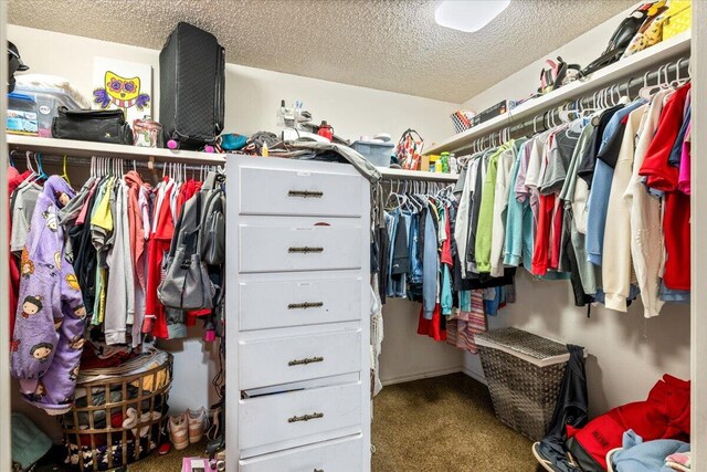 2917 Dove Ln, Denver City, TX 79323 - spacious closet featuring carpet