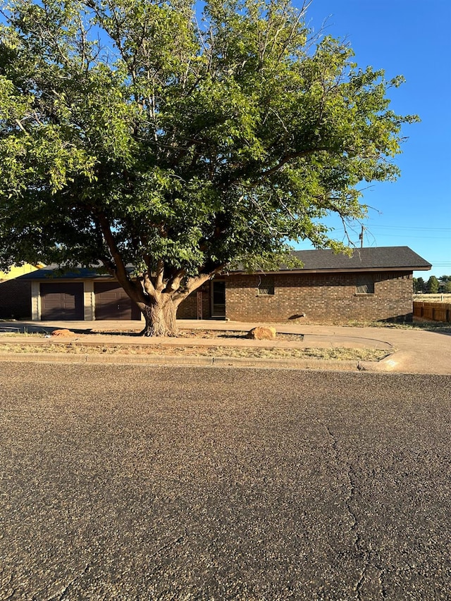 905 E Ripley St, Brownfield, TX 79316 - photo 2