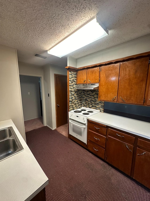 905 E Ripley St, Brownfield, TX 79316 - photo 10