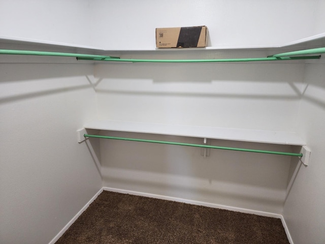 spacious closet featuring carpet