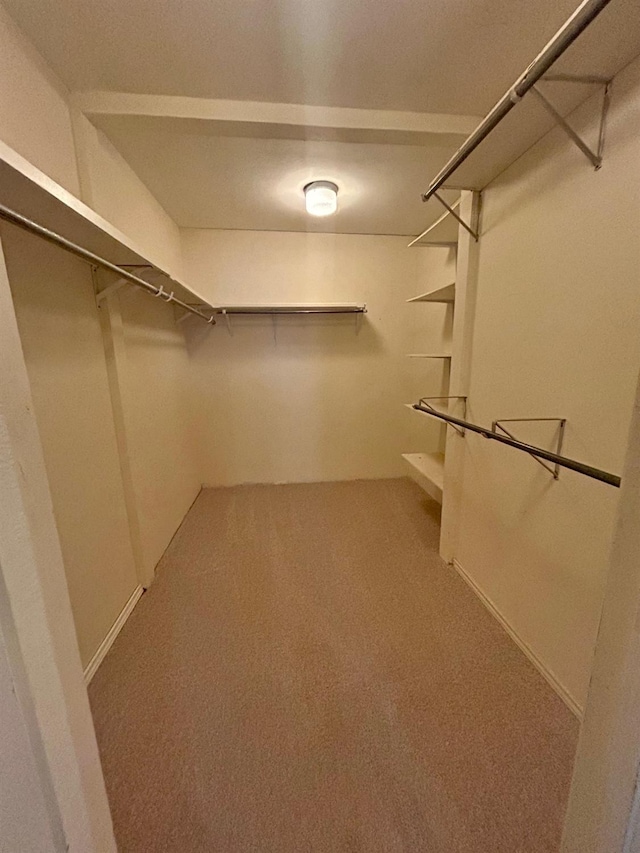 spacious closet with carpet flooring