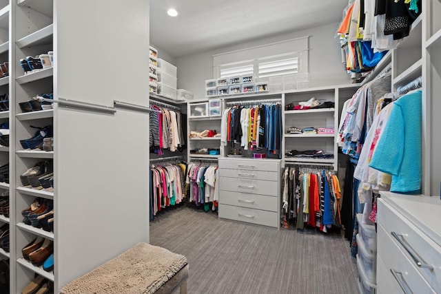 walk in closet with carpet