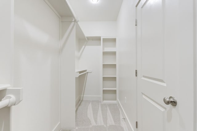 walk in closet with light carpet