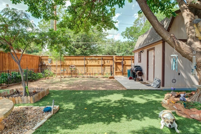 view of yard featuring a patio