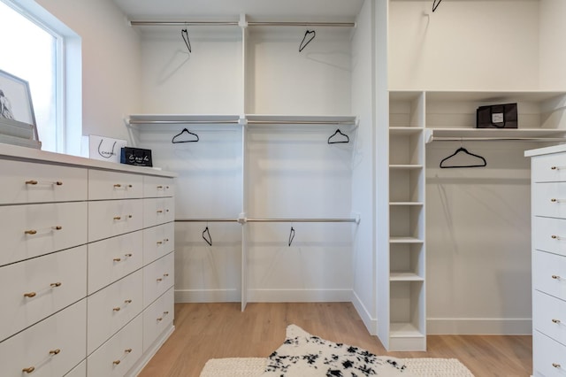 spacious closet featuring light wood-type flooring