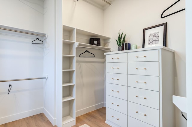 spacious closet featuring light wood-type flooring