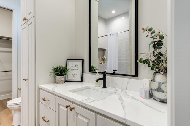 bathroom with vanity, wood-type flooring, a shower with shower curtain, and toilet