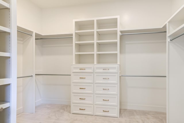 4610 138th Pl, Lubbock, TX 79424 - view of spacious closet