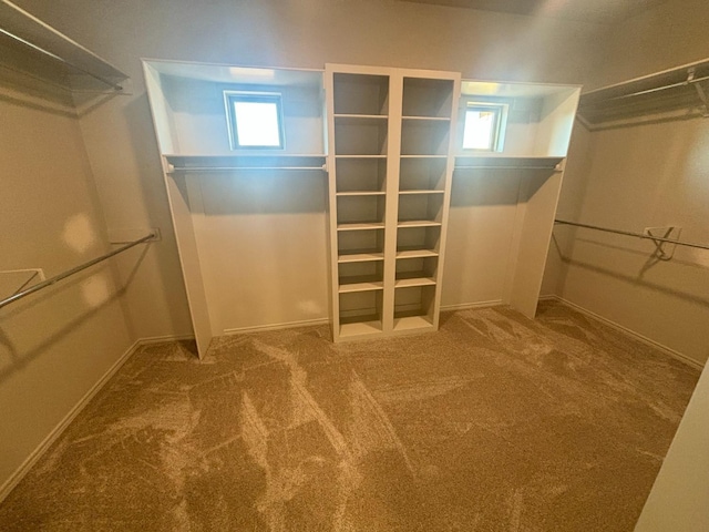 walk in closet with carpet flooring