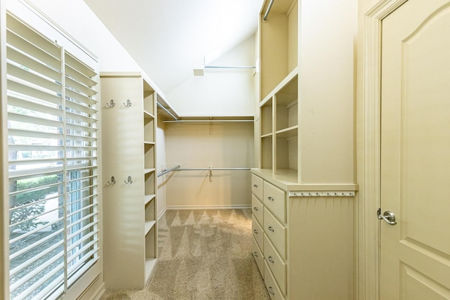 spacious closet with light carpet