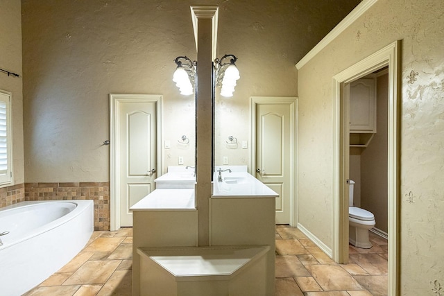 bathroom featuring vanity, a bathtub, and toilet