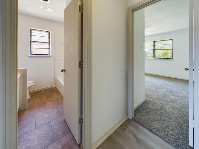 hallway with a wealth of natural light