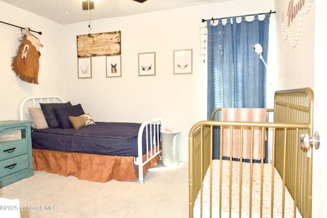 1023 N Fulton Ave, Lubbock, TX 79416 - view of carpeted bedroom