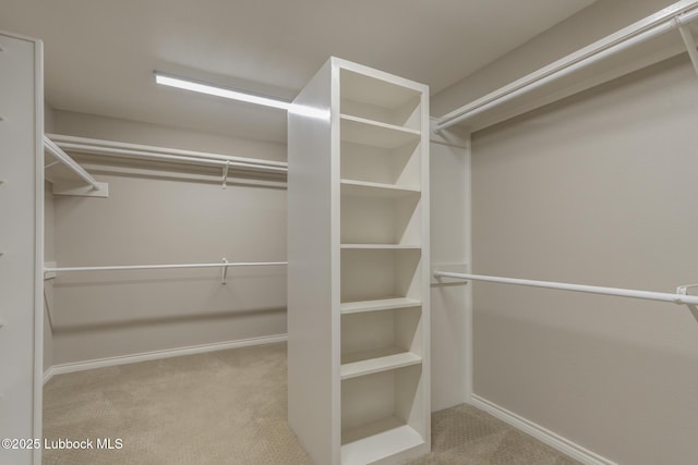 9406 Wayne Ave, Lubbock, TX 79424 - walk in closet featuring carpet