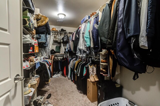 walk in closet featuring carpet