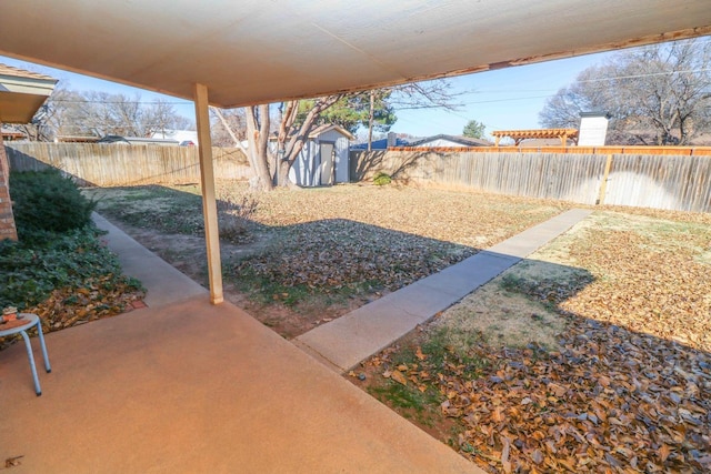 view of yard with a storage unit and a patio