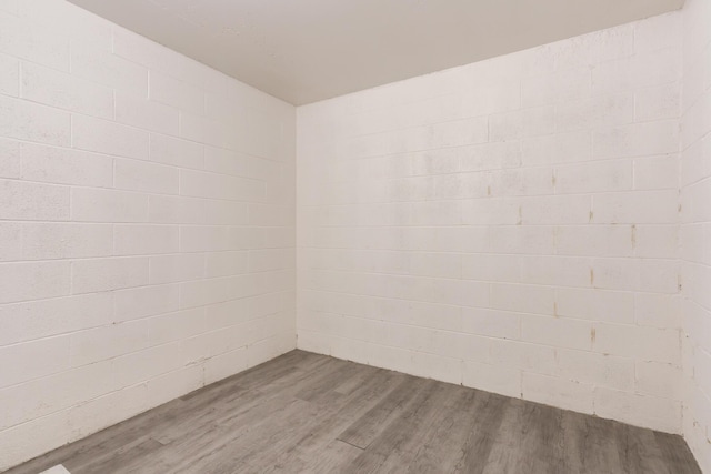 spare room featuring wood-type flooring