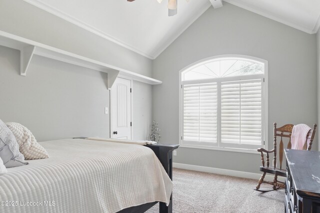 3211 County Road 7610, Lubbock, TX 79423 - photo 23