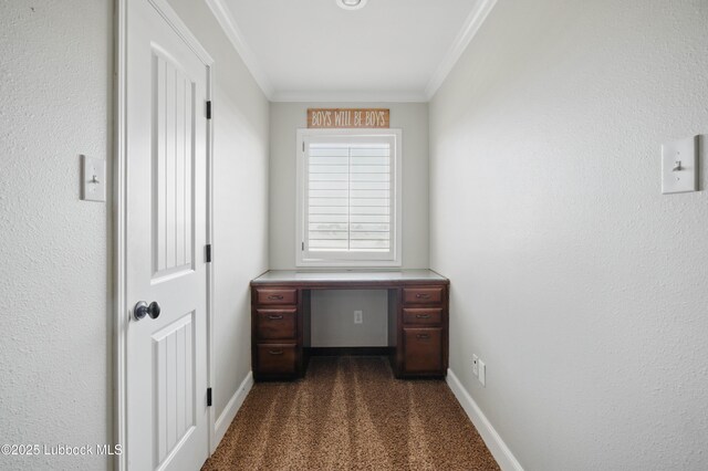 3211 County Road 7610, Lubbock, TX 79423 - photo 38