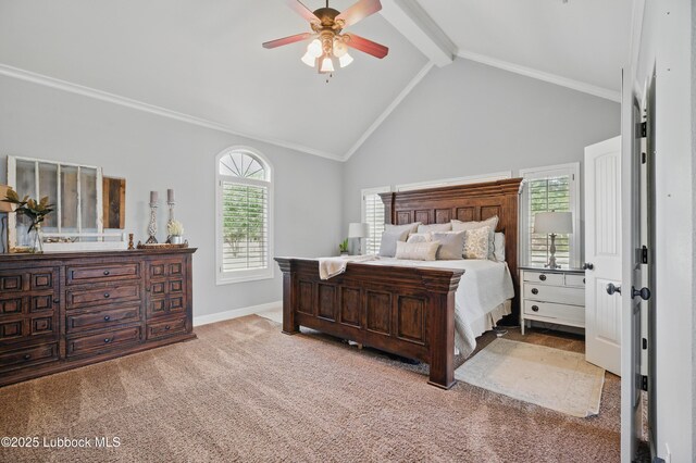 3211 County Road 7610, Lubbock, TX 79423 - photo 26