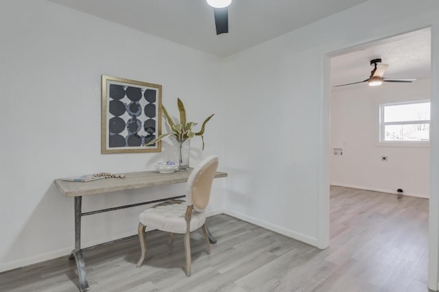 office featuring light wood finished floors, a ceiling fan, and baseboards