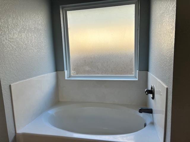 bathroom featuring a tub and plenty of natural light