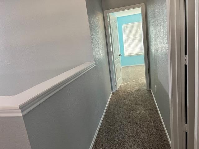 hallway with carpet floors