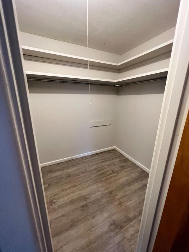 spacious closet with dark wood-type flooring