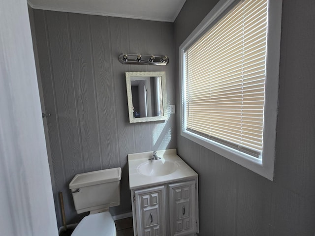 bathroom with a healthy amount of sunlight, toilet, and vanity