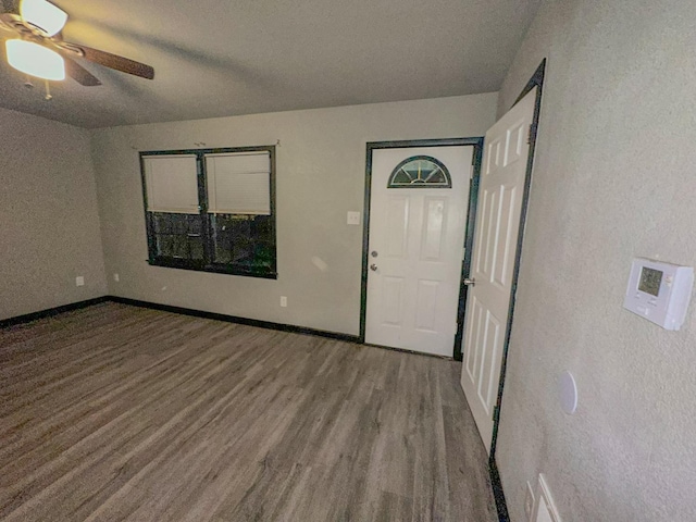 foyer with hardwood / wood-style flooring and ceiling fan