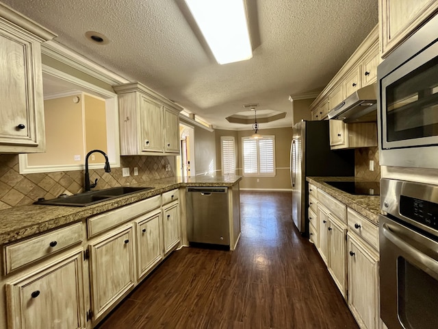 4910 102nd St, Lubbock, TX 79424 - kitchen with appliances with stainless steel finishes, a peninsula, under cabinet range hood, crown molding, and a textured ceiling