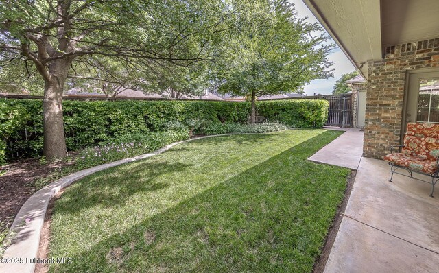 3914 101st St, Lubbock, TX 79423 - view of yard