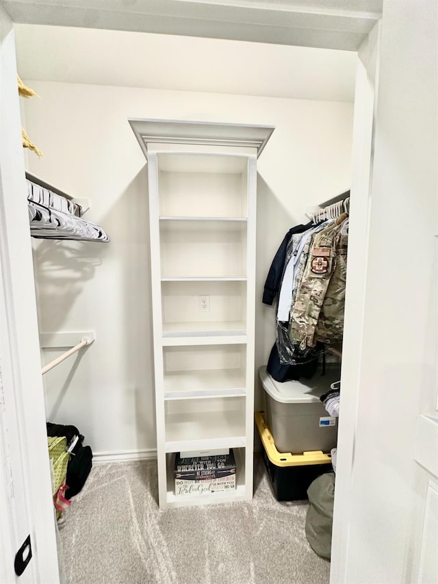 walk in closet with carpet