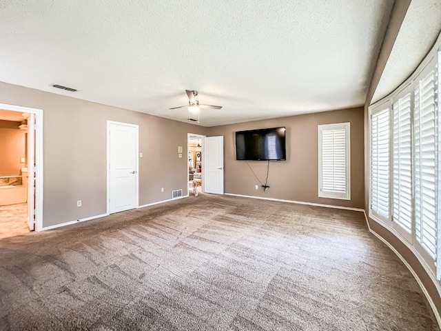 interior space with plenty of natural light, carpet floors, and a textured ceiling